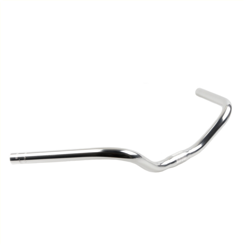 Primax E handlebar Weesp silver