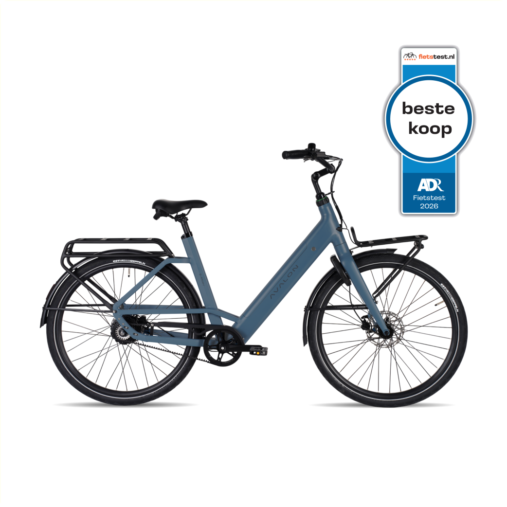 AVALON E-Moev D50 Blue steel grey