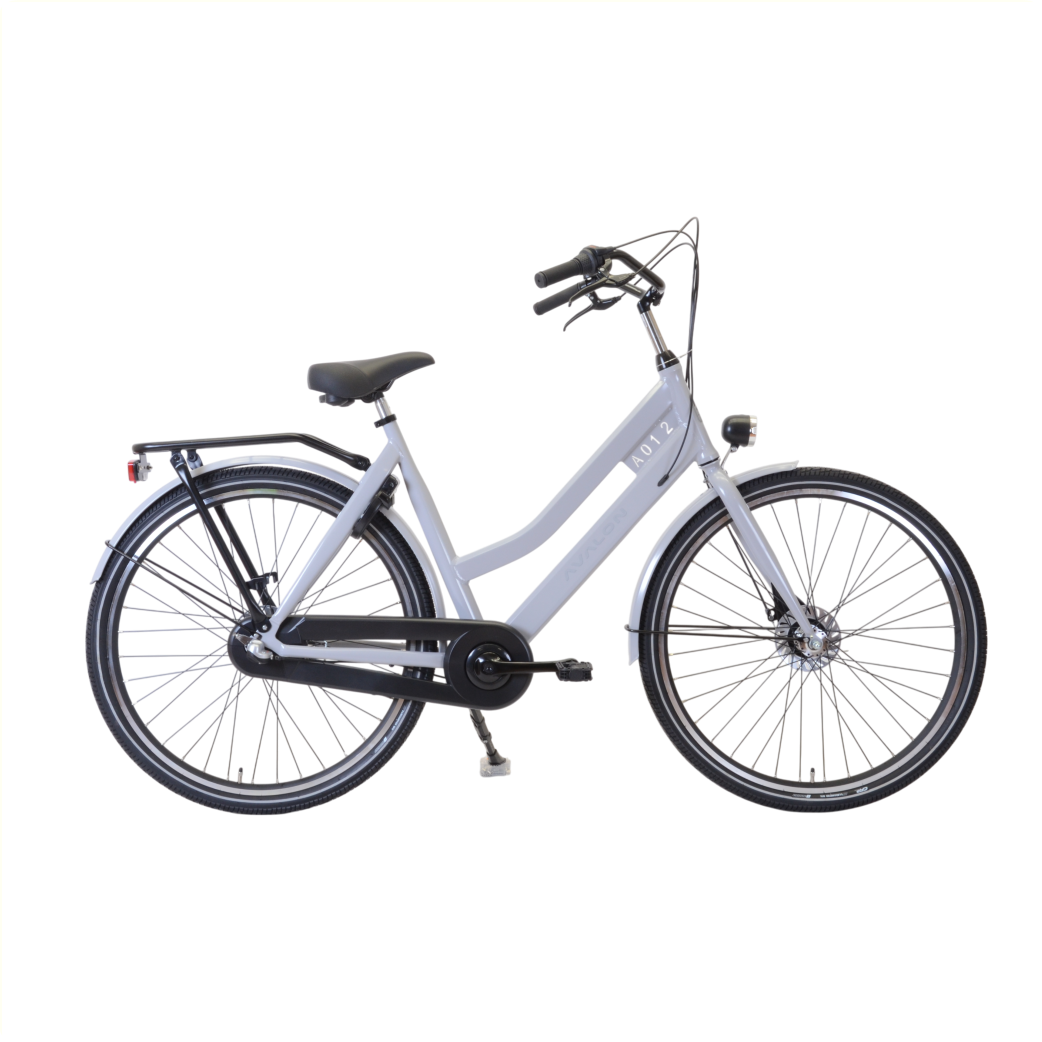 Avalon Style Women's 54cm Shimano Roller Brake 3 speed. grey.
