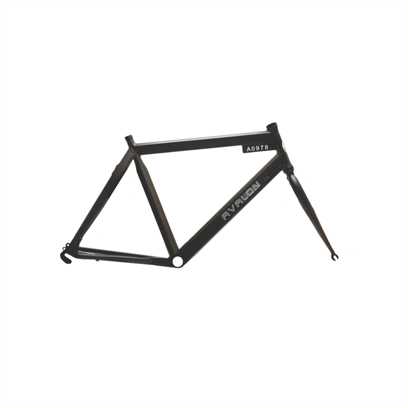 Frame Style H58cm and front fork matt black.