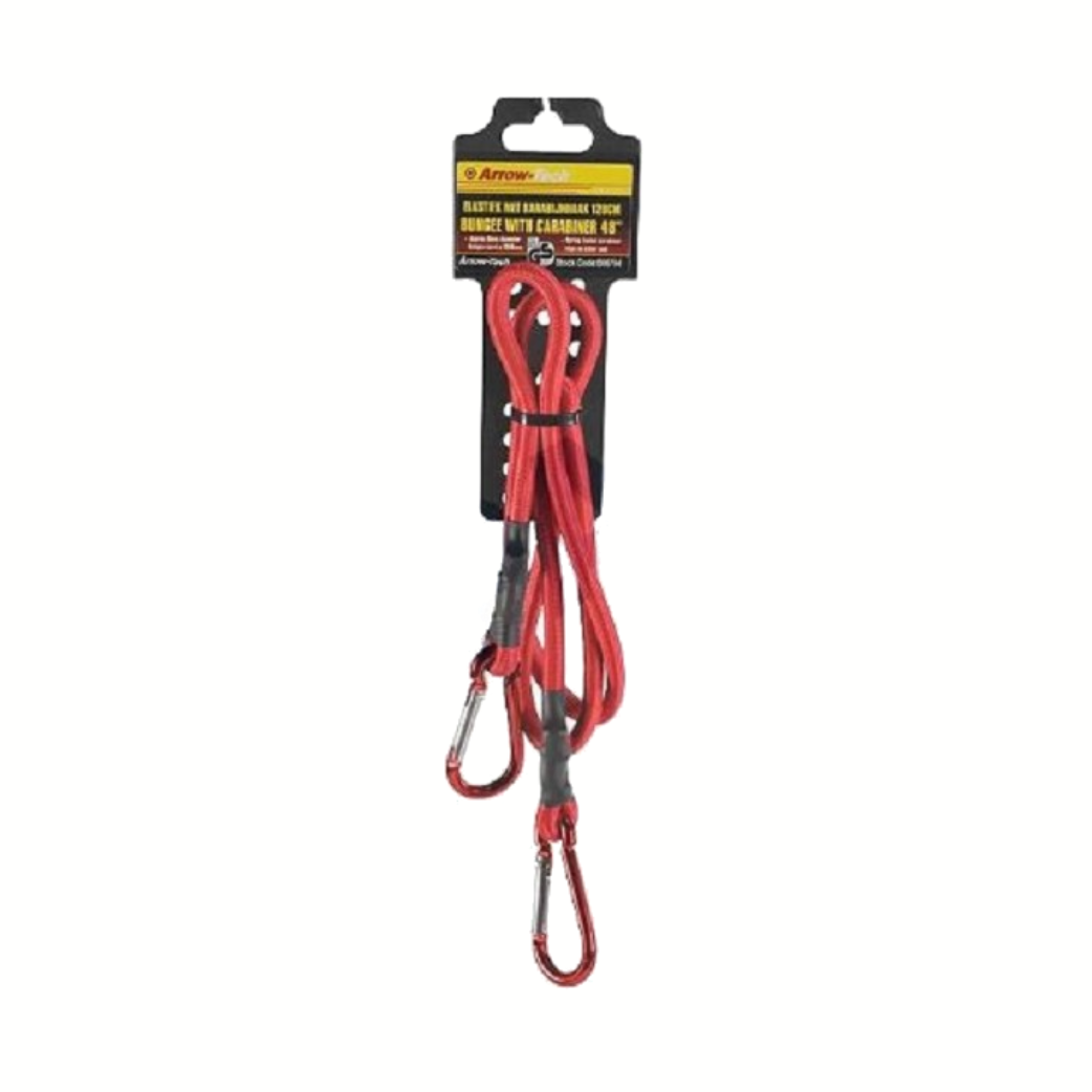 Lashing strap with carabiner hook